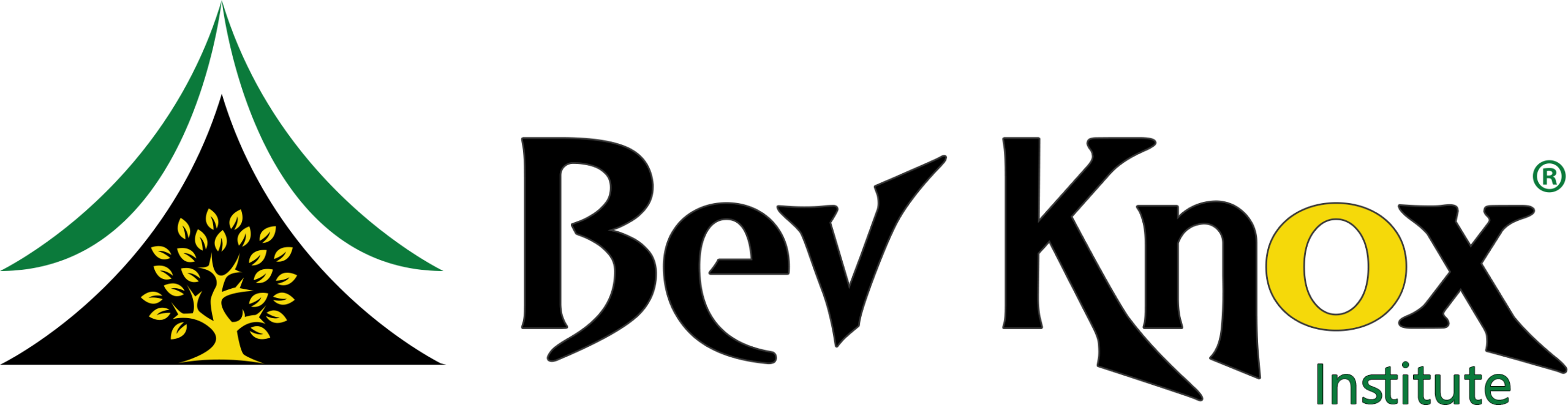 Bev Knox Institute Logo