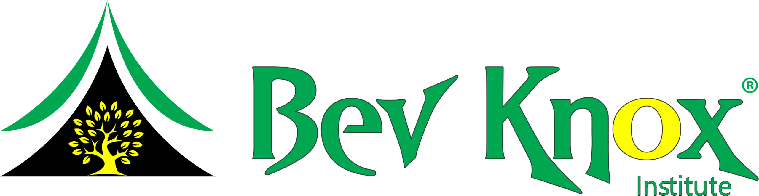 Bev Knox Institute Logo